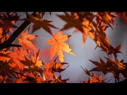 Wochenorakel vom 26 09 bis 02.10.2016