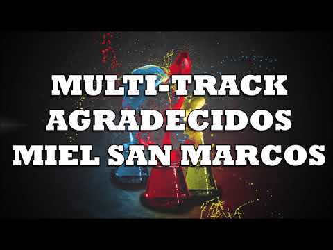 MULTI-TRACK - AGRADECIDOS MSM