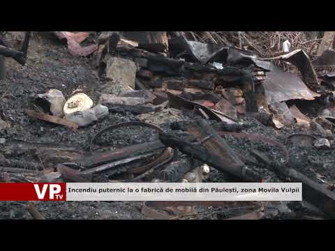 Incendiu puternic la o fabrică de mobilă din Păulești, zona Movila Vulpii