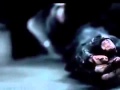 The Assault Film De L Assaut Du GIGN à Marignane