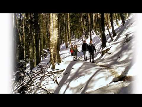 Marcel Pavel - Iarna spune Povesti by Clipe Hoinare