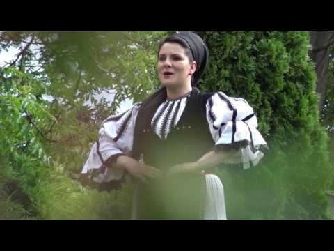 ANA MARIA GHEORGHESCU ,,Sus la munte- n Capatana''