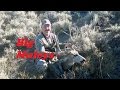 Hunting Big Oregon Mule Deer