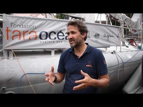 Tara Ocean Foundation - the war on plastics