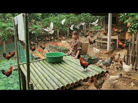 Survival in the jungle of a sterile woman kicked out of her home by her husband"Ly Tieu An'