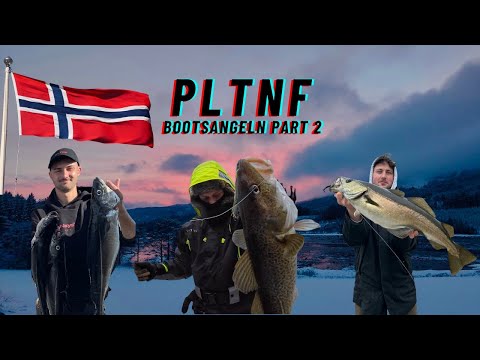 Cod alert in Norway! 🎣 40 fish caught while boat fishing | Johannes' first cod 🇳🇴