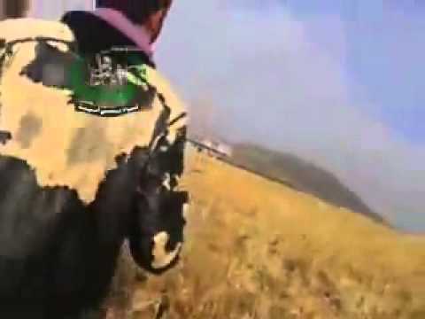 اقتحام المزارع على تل جموع في ريف درعا