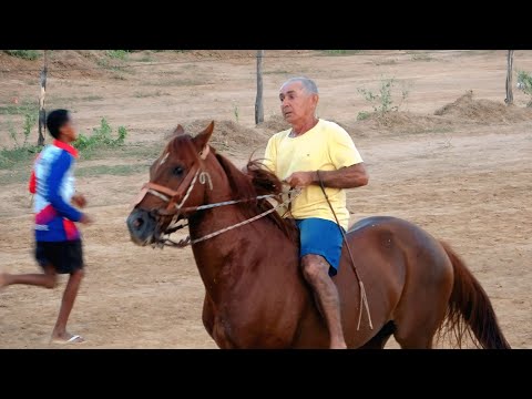 CAPITÃO GERVÁSIO DE OLIVEIRA - Corridas de Cavalos 2026