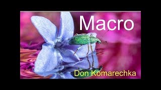 MACRO Photography Tips w/ Don Komarechka (Tony & Chelsea Live)