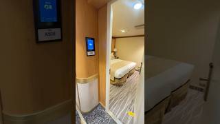 Grand Princess - Inside Cabin A508 Tour (November 2025)