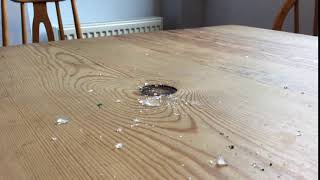 ice
