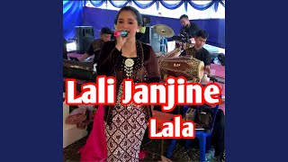 Download lagu Lali Janjine mp3