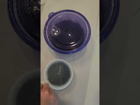 Mite Control Using Diatomaceous Earth #springtails #isopods #bioactive #fruitflies #dartfrog