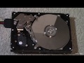 Broken Hard Disk Drive Sounds Like High Pitched Demonic Screeching