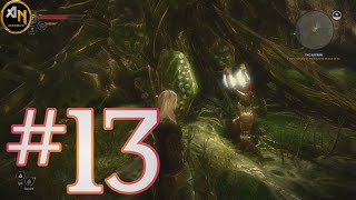 Checking out Kayran's Lair The Witcher 2 Assassins of Kings Enhanced Edition Ep 13