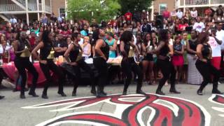 preview picture of video 'The Iota Chi Chapter of Delta Sigma Theta Sorority, Inc. shows OWT at University of South Carolina!!'