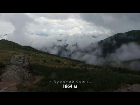 Dzembronia — Video