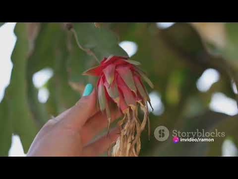 Scents of success: Top 5 Men’s Colognes 2024