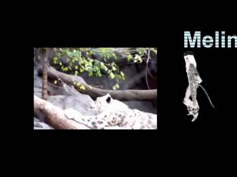 Sophia May - Another Day (Sunfreakz Radio Edit - Melina Ferber Video).wmv