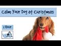 1 Hour of Dog music for Christmas Chaos!! calm ...