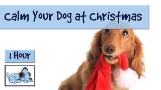 1 Hour of Dog Music for Christmas Chaos!! Calm Your Dog at Christmas