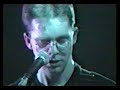 The Bats | Straight On Home (live)