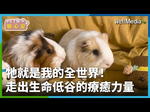 不畏家人反對 為寵物天竺鼠不畏離職自創個人品牌！GuiiGuii暖心陪伴轉念度過憂鬱危機【PET你聊心室】 EP3 產品設計師 NJ (上集)