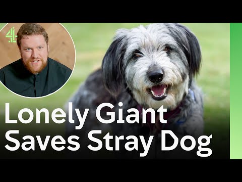 Lonely Giant Saves Stray Dog Who Changes His Life | The Dog House 🐶