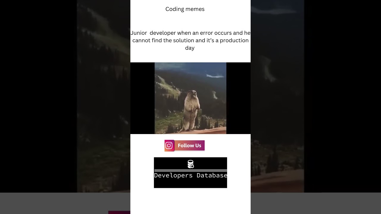 Coding Memes | When Code Goes Wrong | Programming Memes
