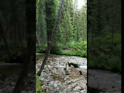 North Fork Teton Creek