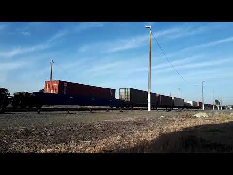 5AM5 through Gheringhap 8:11 25/119