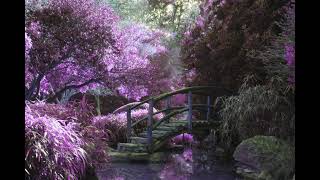Download lagu Johann Pachelbel Canon in D major for Strings and Continuo mp3