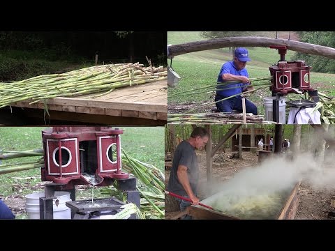 How-To Make Sorghum the Old Fashioned Way