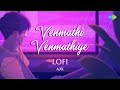 Venmathi Venmathiye Lofi Lyric Video Minnale Harris Jayaraj     AJX