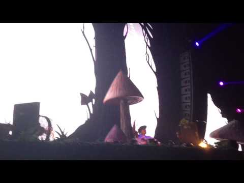 Chuckie Live @ TomorrowWorld 2013 (2) :: Dirty Dutch vs. Smash The House