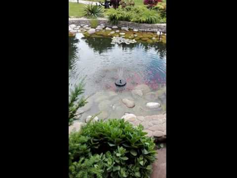 Watch Video on YouTube