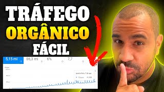 How to Get Organic Traffic to Blogs - 3 Best Ways Without Investing $