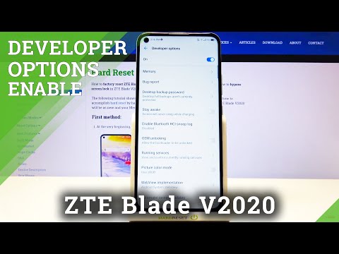 How to Enable Developer Mode in ZTE Blade v2020 – Find Developer Options