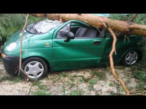 skutki burzy 26 06 2016 (gmina Żarnów)