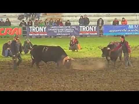 Batailles de Reines 2013, la finale regionale in diretta