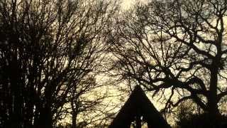 Half Moon Run - Fire Escape