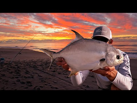 Fishing for Dinner and a Whole Lot More from the Beach | NEW SPECIES