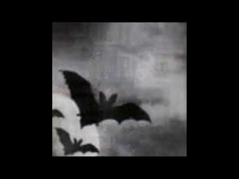 [free] (5+) post-punk, darkwave loop kit/sample pack 2023 - "revives" (ekkstacy, thxsomch loop kit)