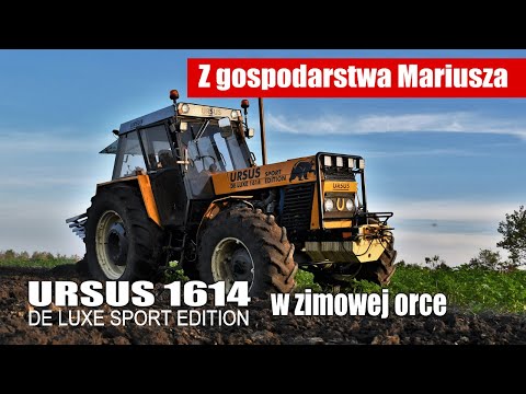 URSUS 1614 DE LUXE SPORT EDITION w zimowej orce u Mariusza