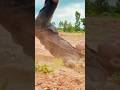 Baaghi 3 Full Movie Tiger Shroff