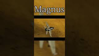 【複合MAD】Magnusの個人的好きなシーン４ #mad #magnus