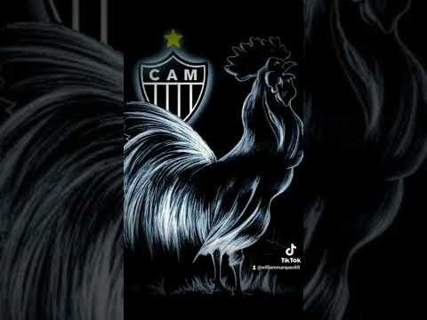 Edit atlético mg mega do galo 2 @gordaodopc
