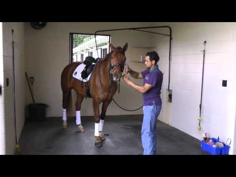 A Day in the Life: Fleetwood ISF at Iron Spring Farm South - SOLD!