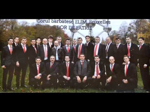 Corul bărbătesc ELIM Bruxelles - Dor de patrie