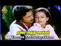 Yamma Anthi Video Song Thendrale Ennai Thodu Movie Songs Mohan Jayashree Ilaiyaraaja